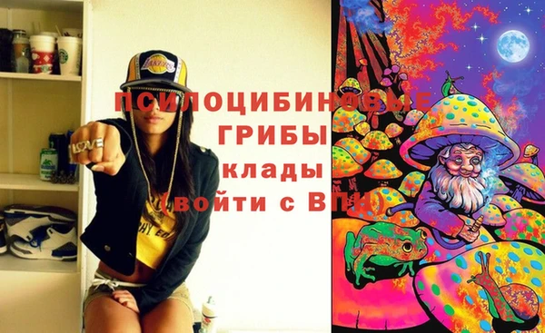 мяу мяу мука Зеленодольск